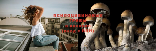 apvp Абаза